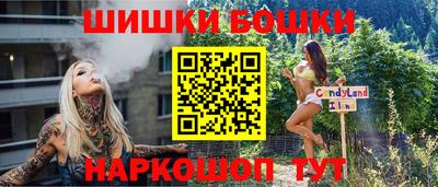 гашик Аргун