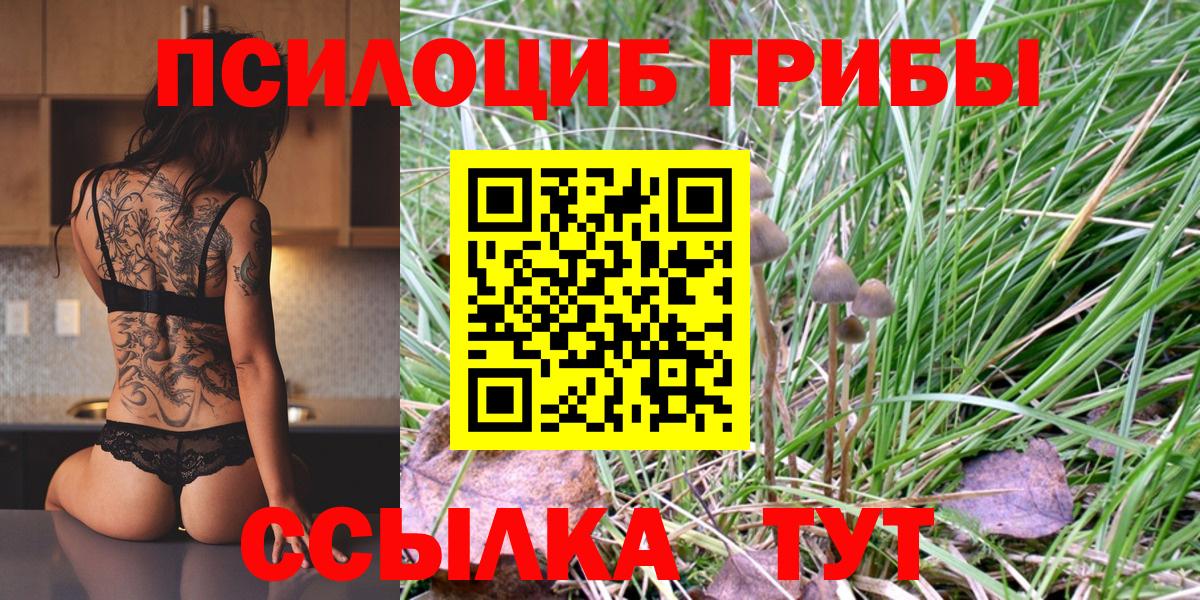 Псилоцибиновые грибы мицелий  Галлюциногенные грибы MAGIC MUSHROOMS  Вход с VPN  наркотики  Апшеронск 